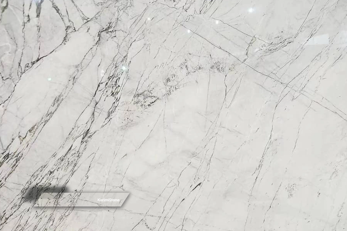 ScatoPolished 05